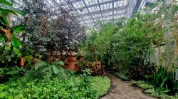 Das Tropenhaus von Innen