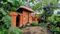 Fremde Landschaft mit hoher Luftfeuchtigkeit im Tropenhaus