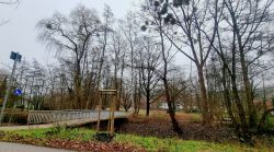 Bad Salzdetfurth,  Stadtrundfahrt, an der Lamme