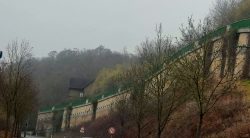 Ein Wanderweg oberhalb der Strasse an der Detfurthallee
