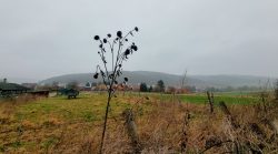 Die Landschaft um Wehrstedt herum