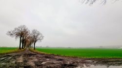 220126_Wehrstedt-Wanderung Tag 1-011