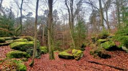 Bodensteiner Sandsteinklippen