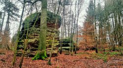 Bodensteiner Sandsteinklippen