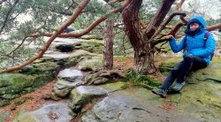 Gersfelsen, Bodensteiner Klippen