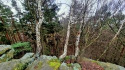 Blick von der Sofaklippe in den Abgrund