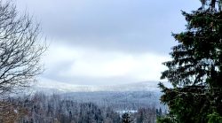 Ausblick vom Torfhaus, Rodelberg