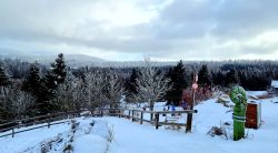 Eisiger Wind auf dem Torfhaus