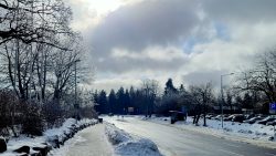 Ein Stück die Torfhaus Strasse hinunter