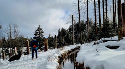 Harzer-Hexen-Stieg, Abbegraben