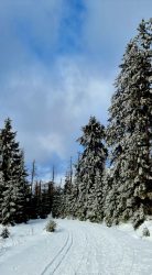 Schneebedeckte Wanderwege auf Kaiserweg