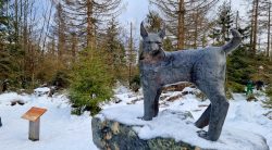Luchs Denkmal am Torfhausmoor