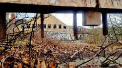 Blick unter dem Zaun hindurch