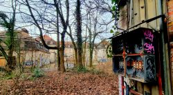 Das Waldhaus in Sicht