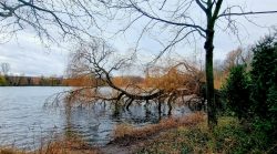 Ausblick auf den Schäfersee