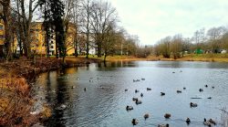 Blick auf das Septimerbecken