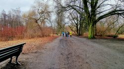 Die kleene Wandergruppe am Kienhorstpark