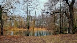 Ausblick auf den Schwanenteich