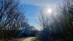 Wege zum Drachenberg