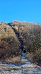 Und den Drachenberg wieder herunter