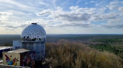 Blick über den Grunewald