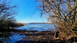 Am großen Plessower See