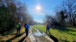 Matschige Wege im Sonnenschein