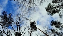 Erste Auflockerungen nach dem Sturm