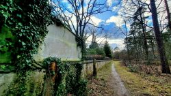 Am Waldfriedhof