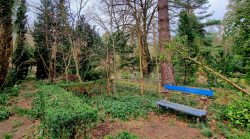 Auch auf dem Friedhof, überall Astbruch und entwurzelte Bäume