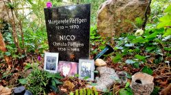Zu Besuch bei NICO