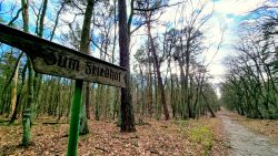 Zufahrt zum Waldfriedhof durch den Grunewald