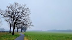Asphaltierte Wege bei Hochnebel