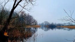 Seeblick auf dem 66-Seen-Wanderweg
