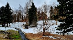 Die seiffener Landschaft