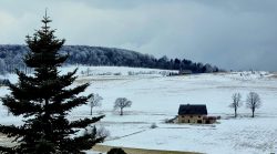 Ein weiter, wenn auch trüber Blick auf die hügelige Landschaft
