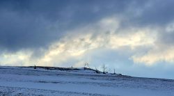 Skurile Blicke in den Himmel