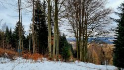 Auf dem Reicheltberg