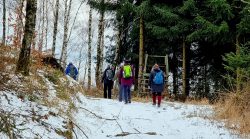 Gipfel fast erreicht