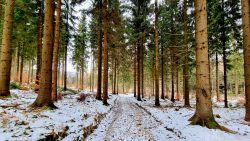 Auf dem Bergflußweg