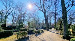 Alter Friedrichsfelder Friedhof