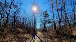 Am alten Rangierbahnhof angekommen