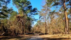 Am Innovationspark Wuhlheide