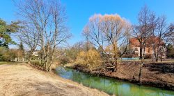 Das grüne Wasser der Wuhle