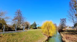 Die alte Wuhle, Wuhletalweg