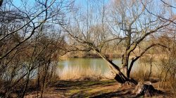 Blick auf den Wuhlesee