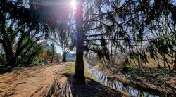 Wuhletal-Wanderweg in die Nähe der Heerstraße