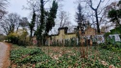 Entlang des St. Johannis-Kirchhof