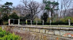 Steingarten am Plötzensee