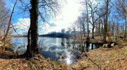 Wolkenspiel in den Wassern des Amtssees